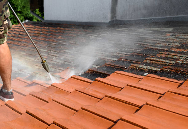 Best Fence Pressure Washing  in Saint Johns University, MN