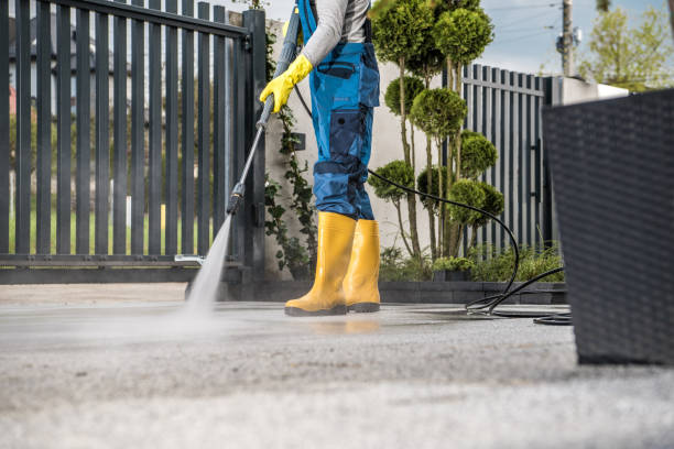 Best Exterior Home Cleaning  in Saint Johns University, MN