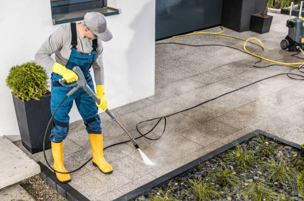 Best Power Washing Near Me  in Saint Johns University, MN