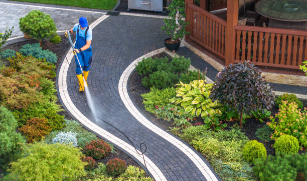 Reliable Saint Johns University, MN Pressure Washing Solutions